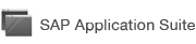 Sap Application